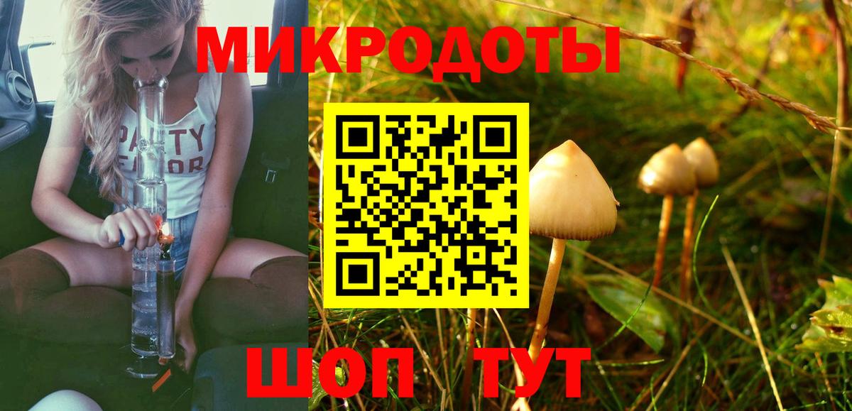 Псилоцибиновые грибы Psilocybine cubensis  купить   Сальск  Вход с VPN 