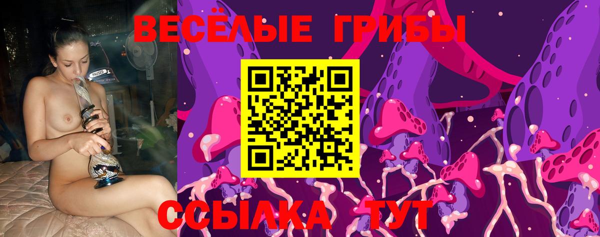 Галлюциногенные грибы Magic Shrooms Сальск
